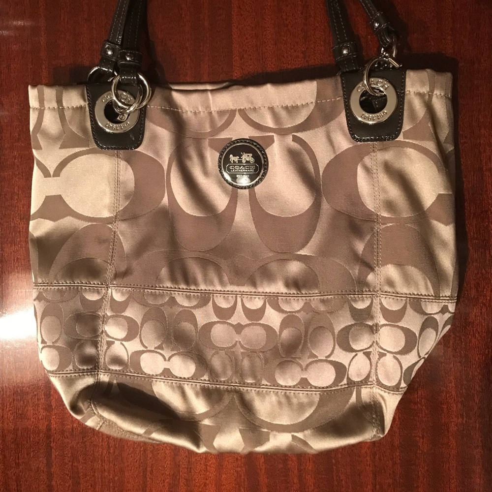 Coach Metallic Hobo Bag